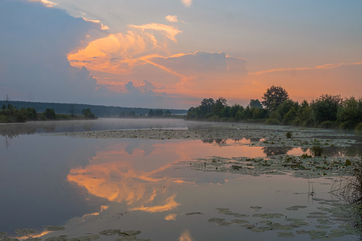 Летнее утро.