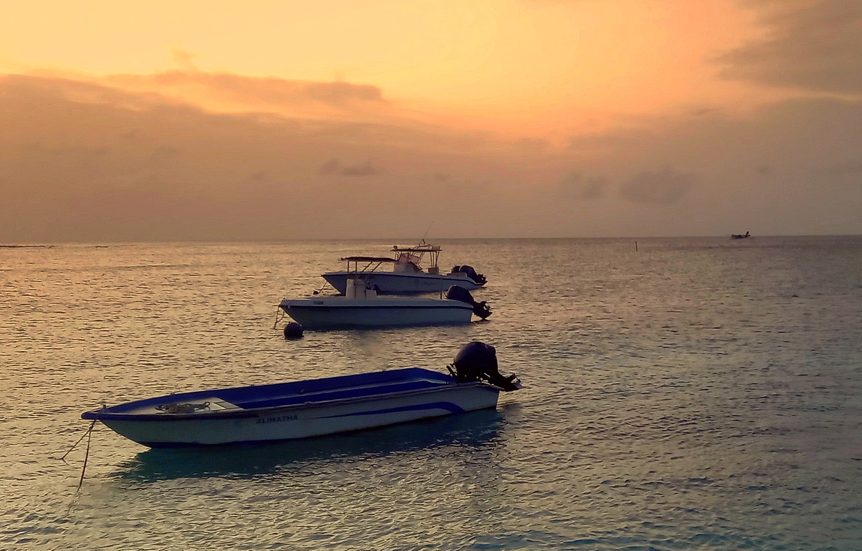 Загорается утро на море