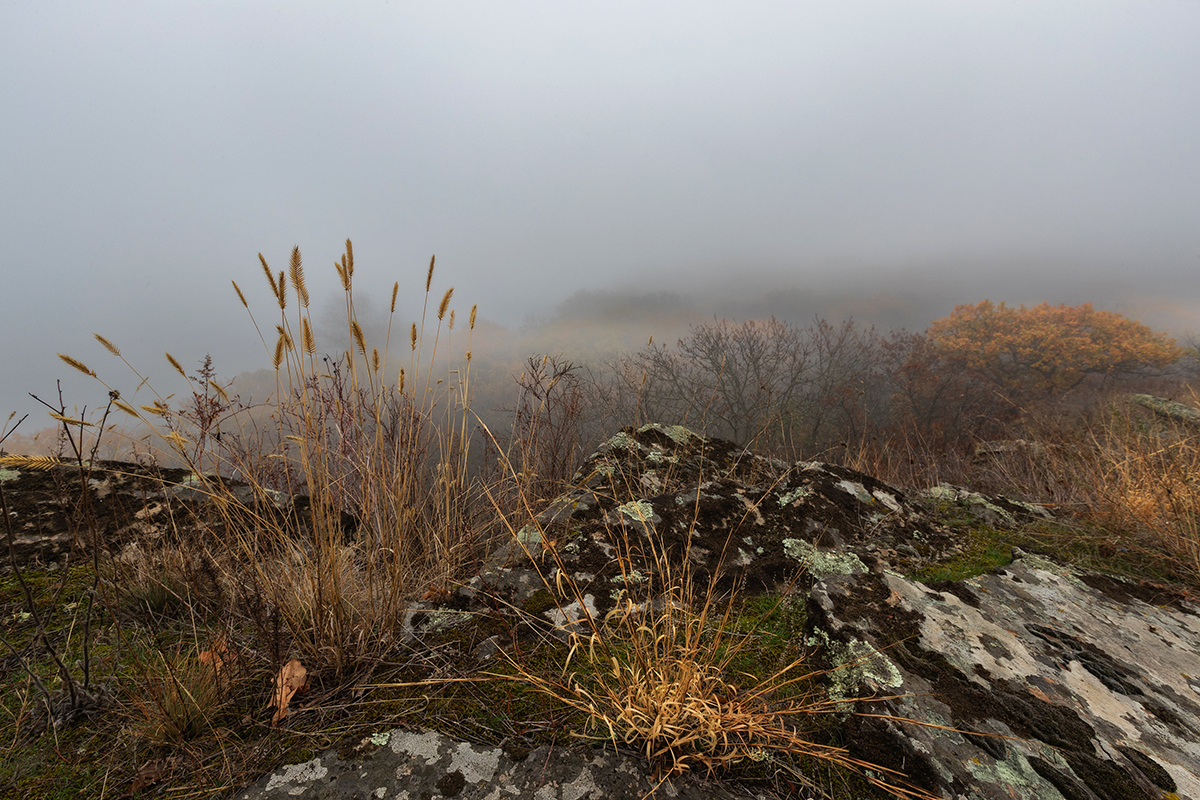 Где-то внизу - река