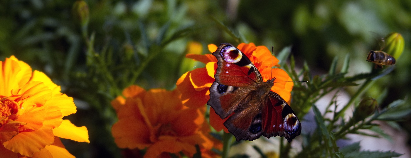 Нынче ветрено