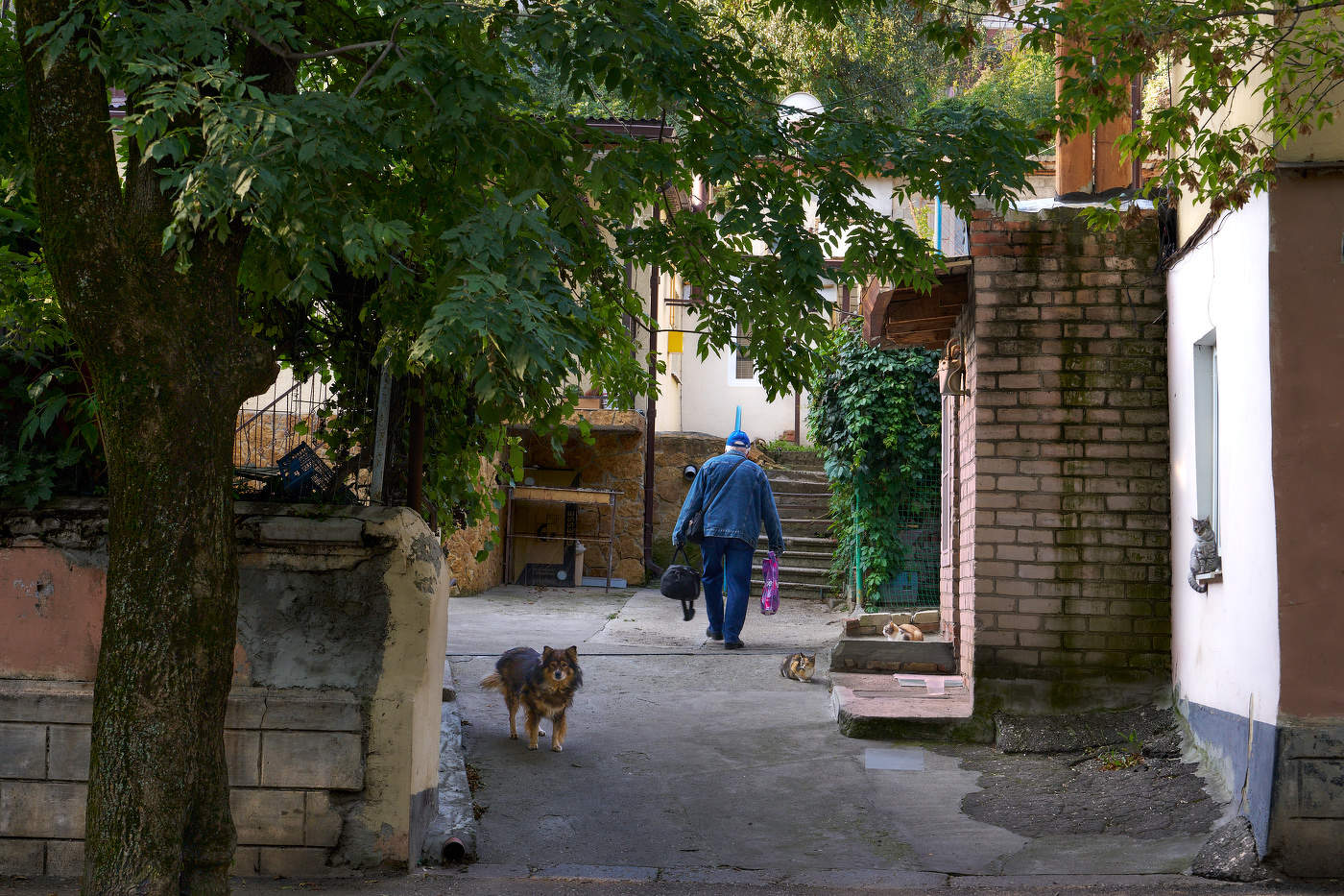 Ребята с нашего двора