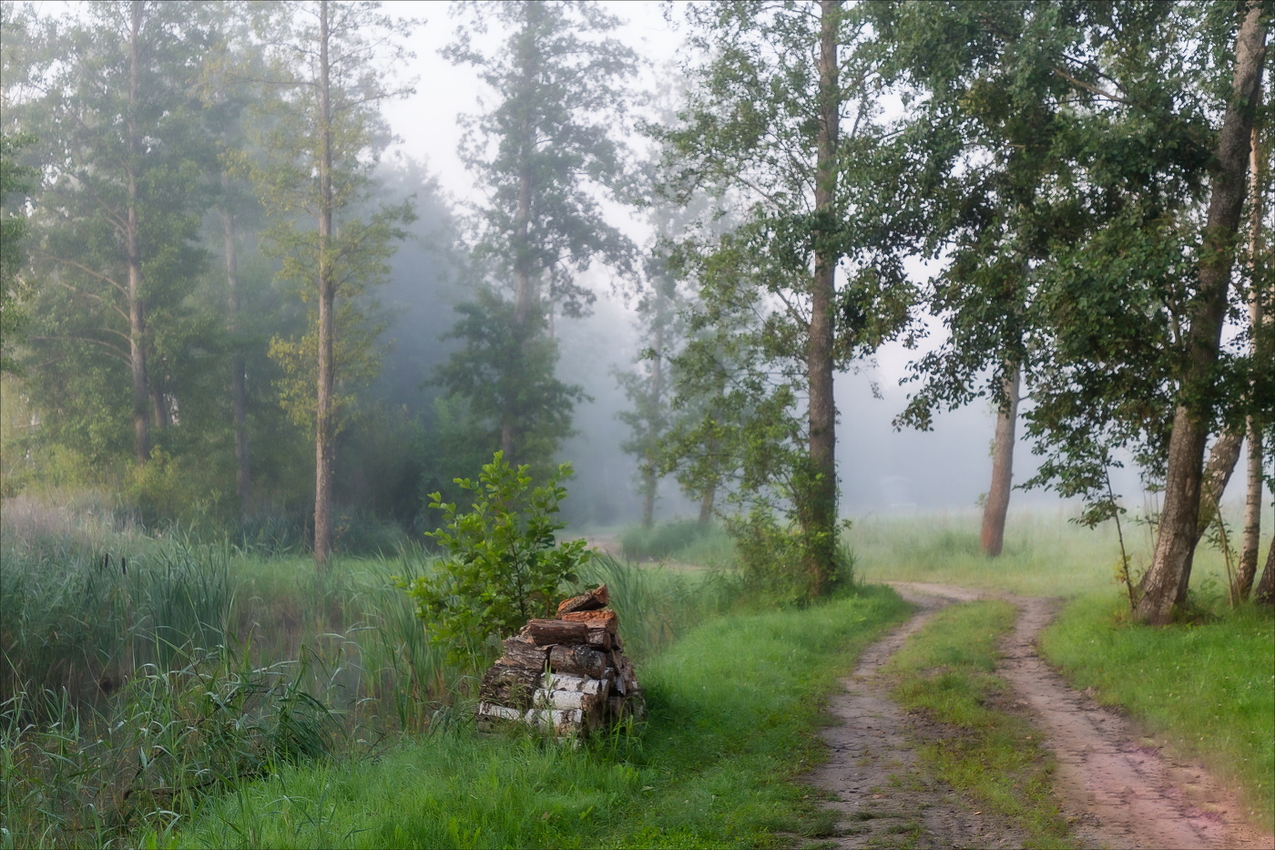 Порою туманной...