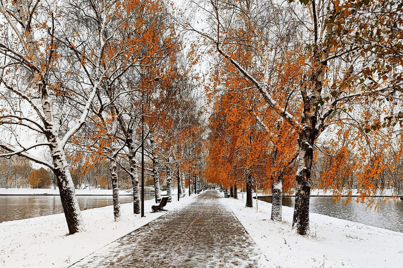 Поздняя осень