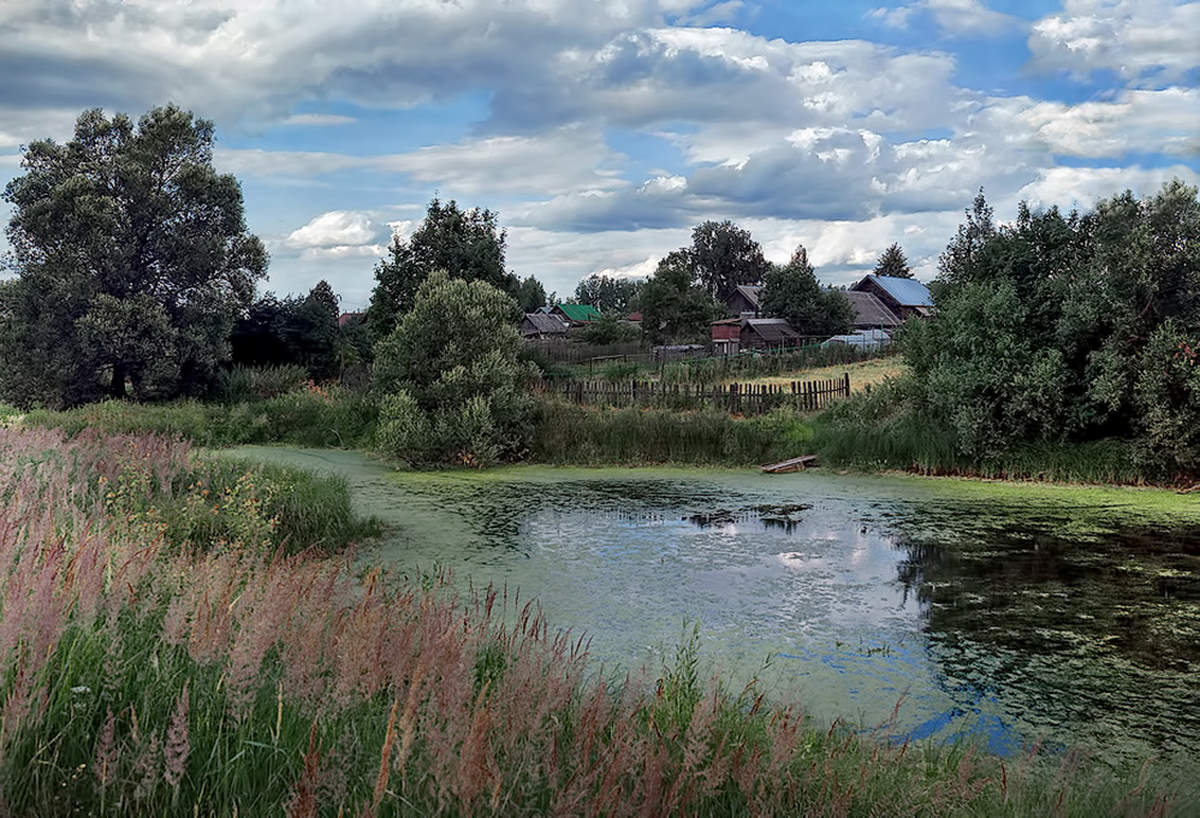 На деревню к дедушке.
