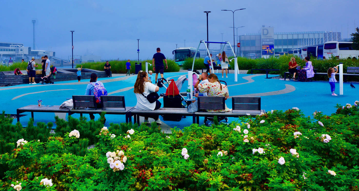 Туманным полднем