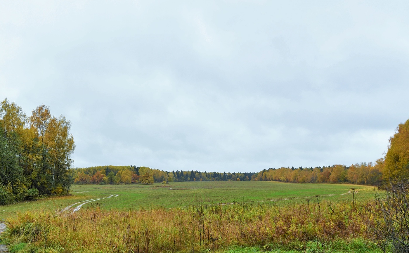 "Осенью, как всегда, небо с проседью ..."