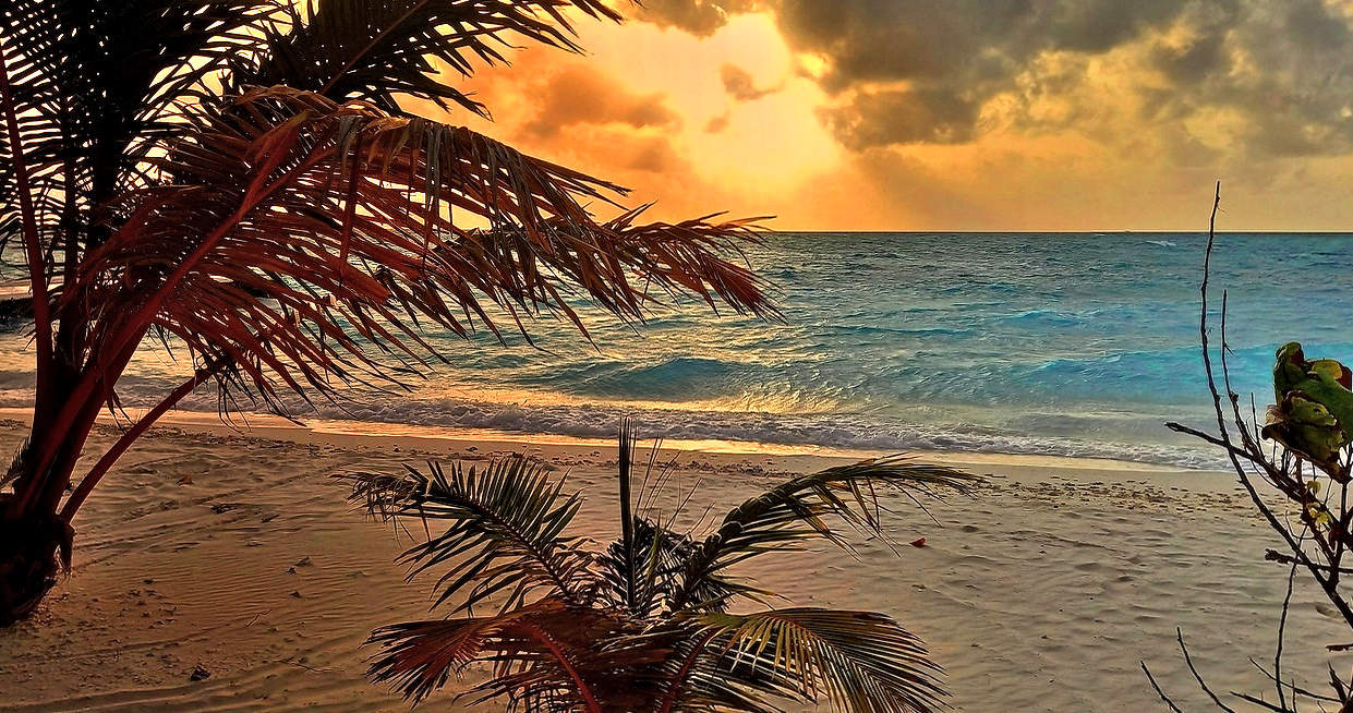 Горящий закат