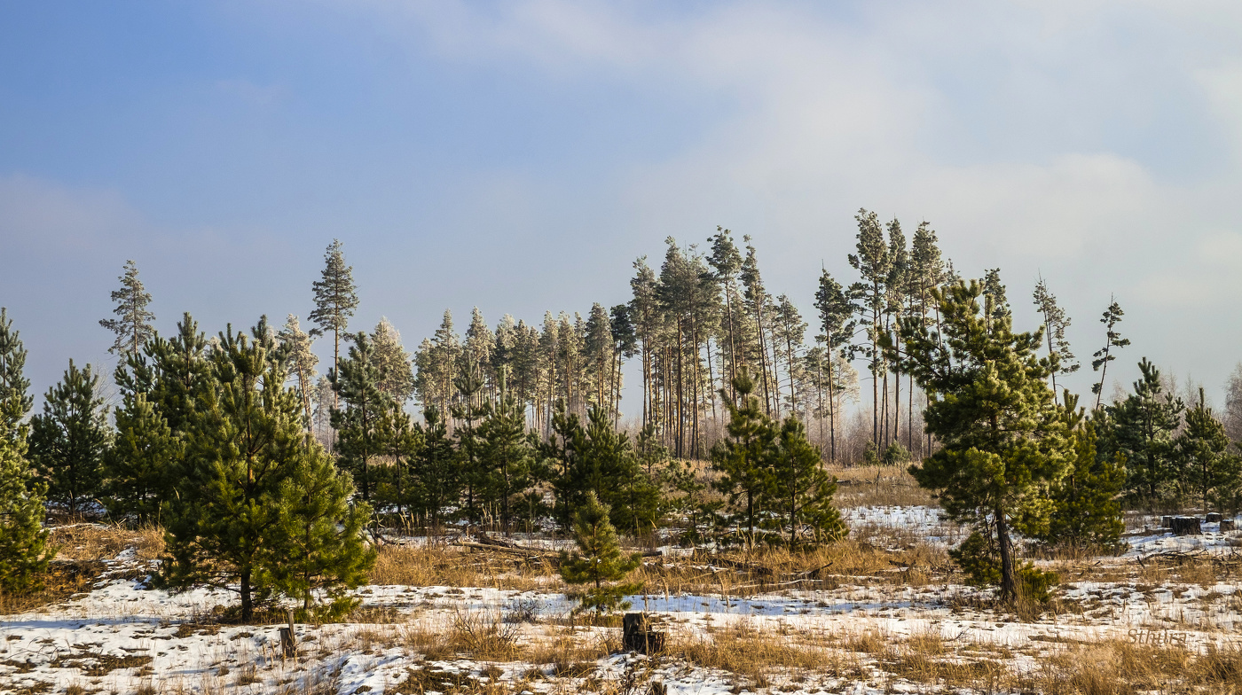 Зимний день.