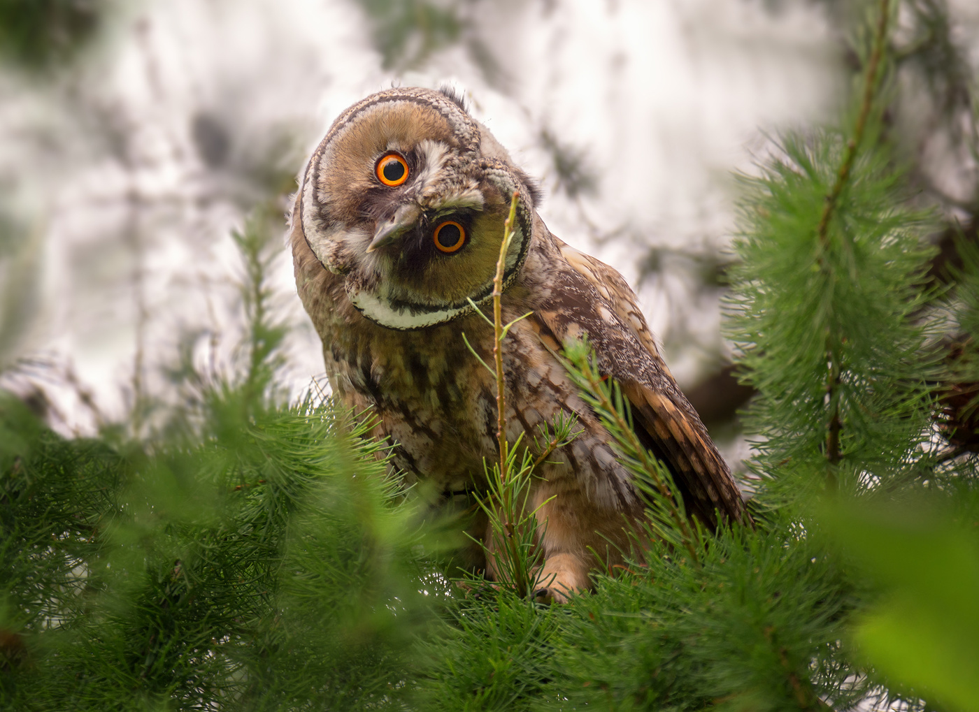 Свой ракурс.
