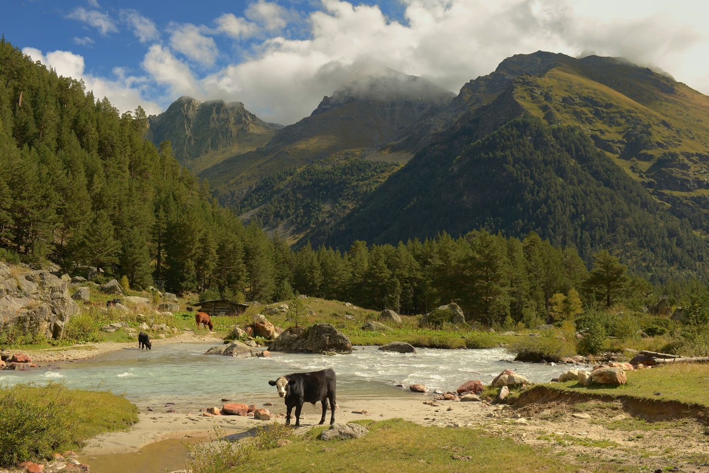 Вот и лето прошло