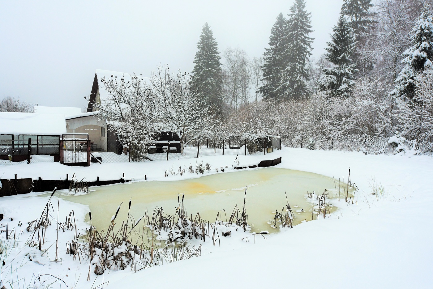 "Еще вчера царила осень, а утром снег засыпал сад ..."