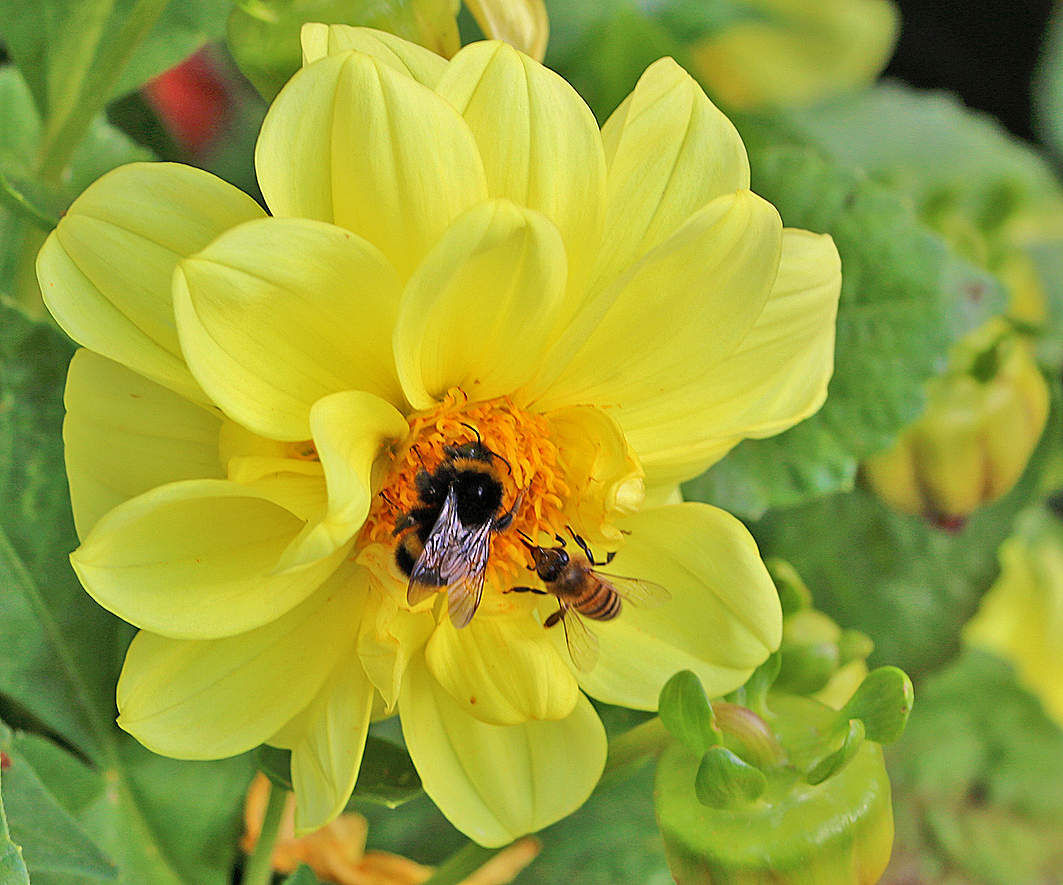 Конкуренты