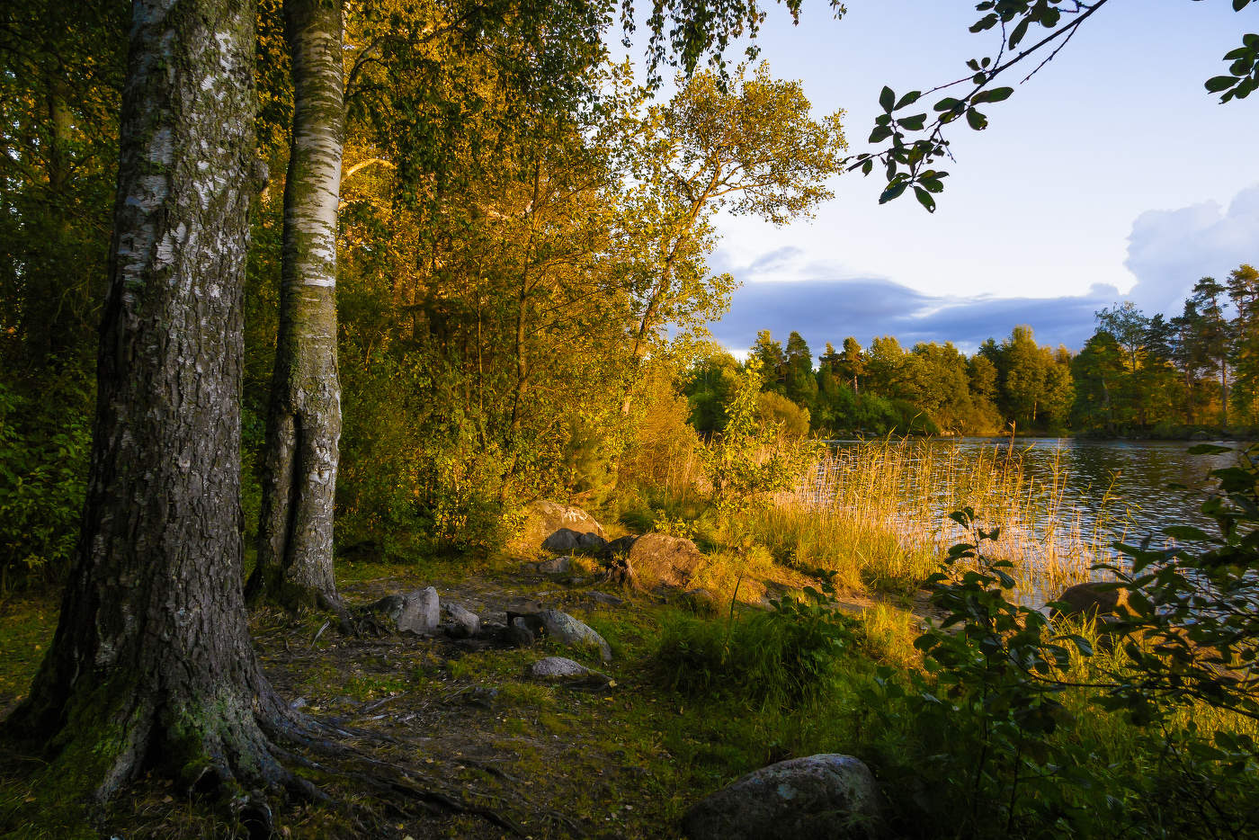 Уютный уголок.