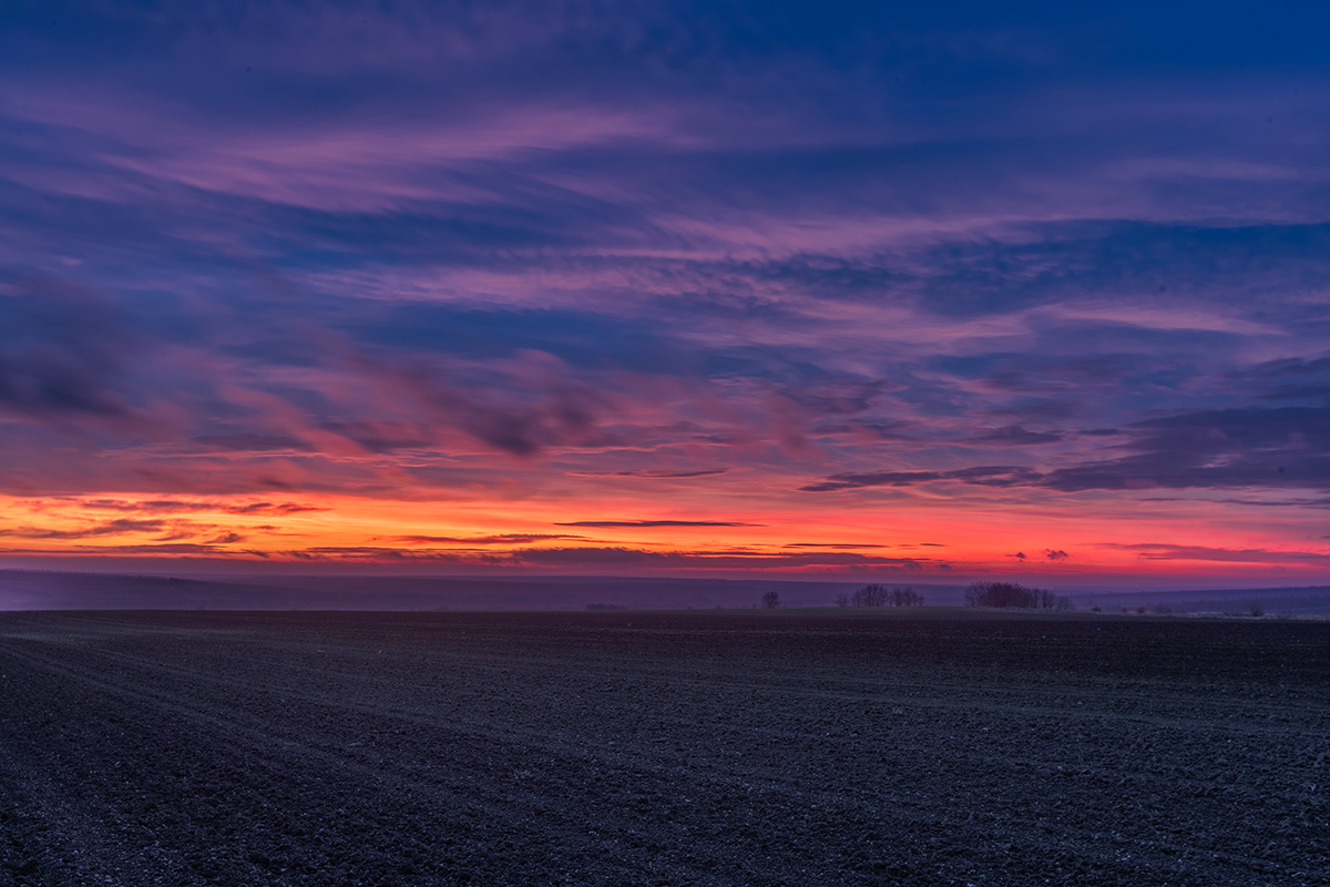 Рассвет в полях