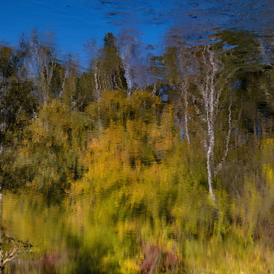 **Отражения.*