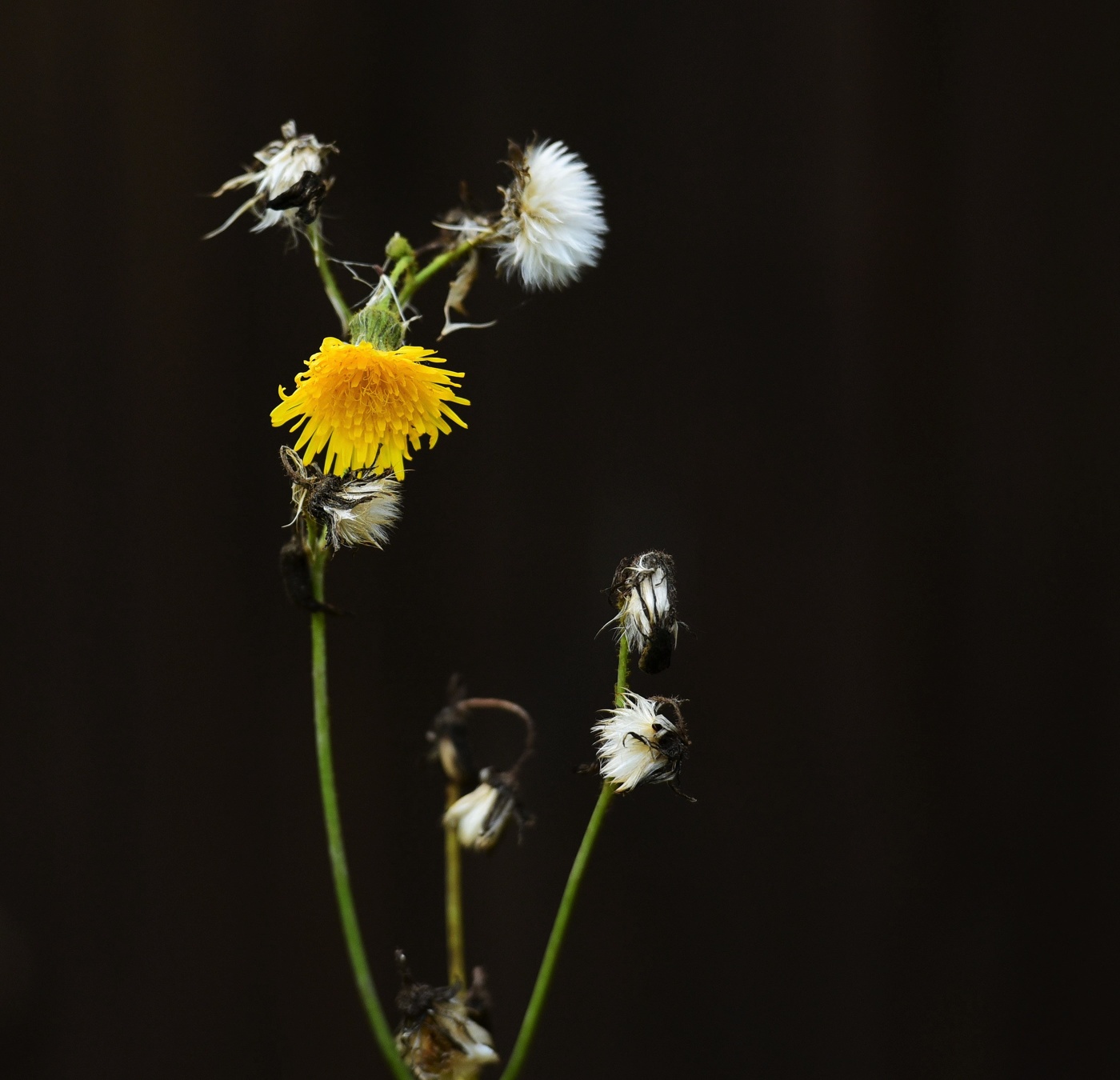 "Осень. Немного грустно ..."