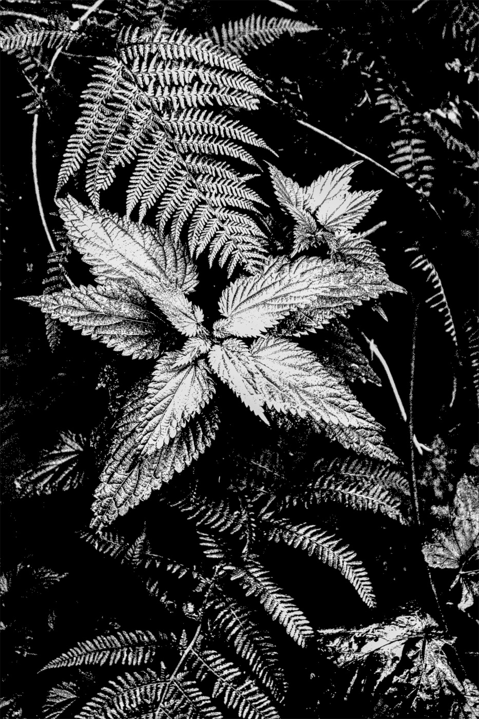 Жизнь вокруг