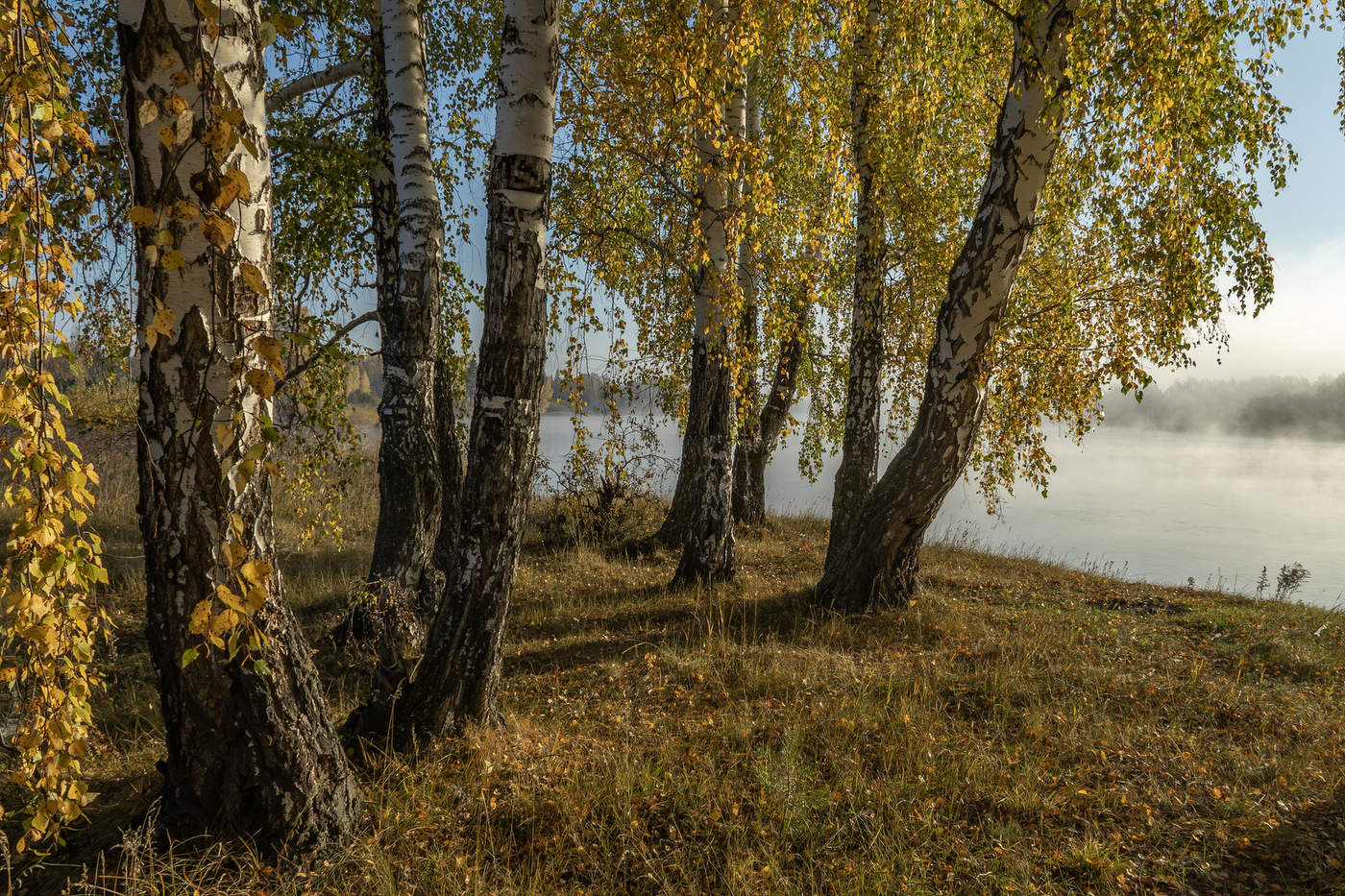 Утро сентября на Оке