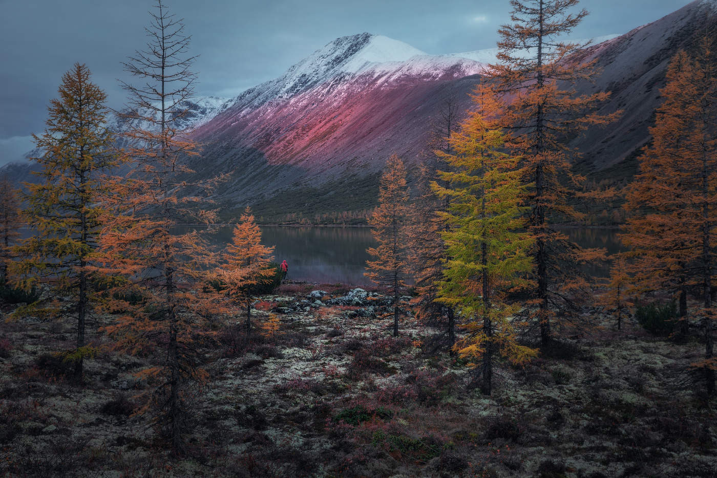 Ранним утром на озере