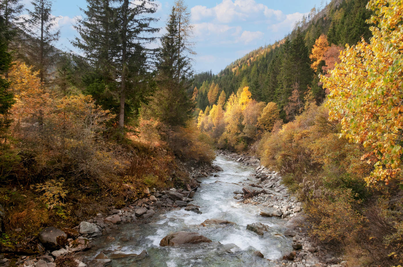 Золотая осень