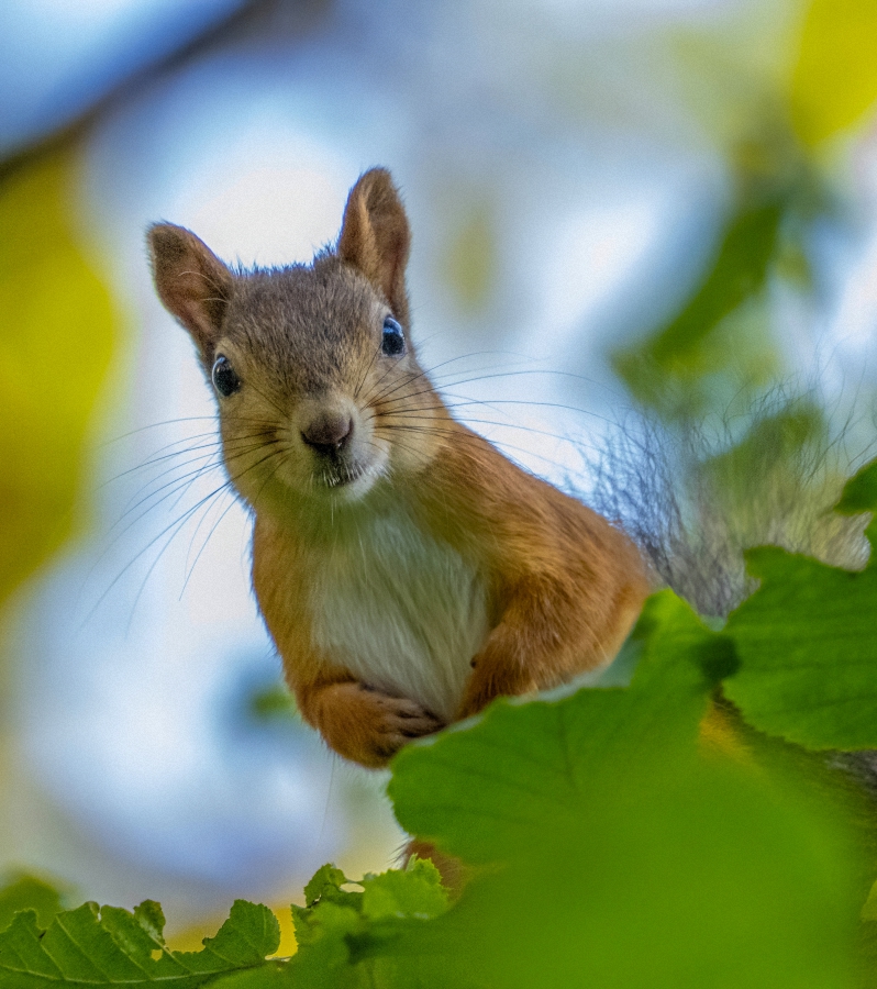Всем приветик )