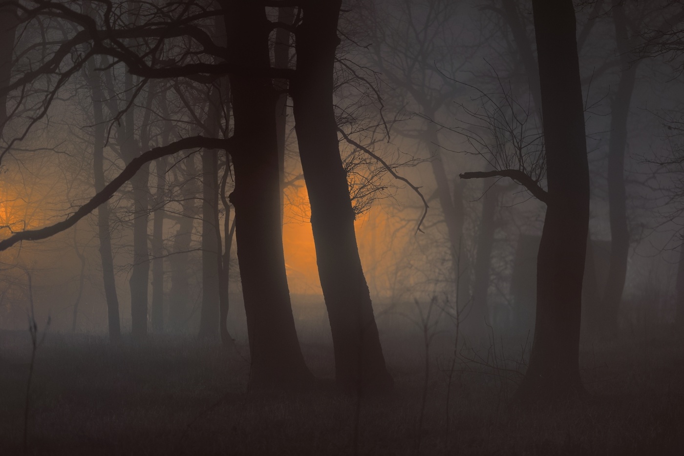 Ночной туман