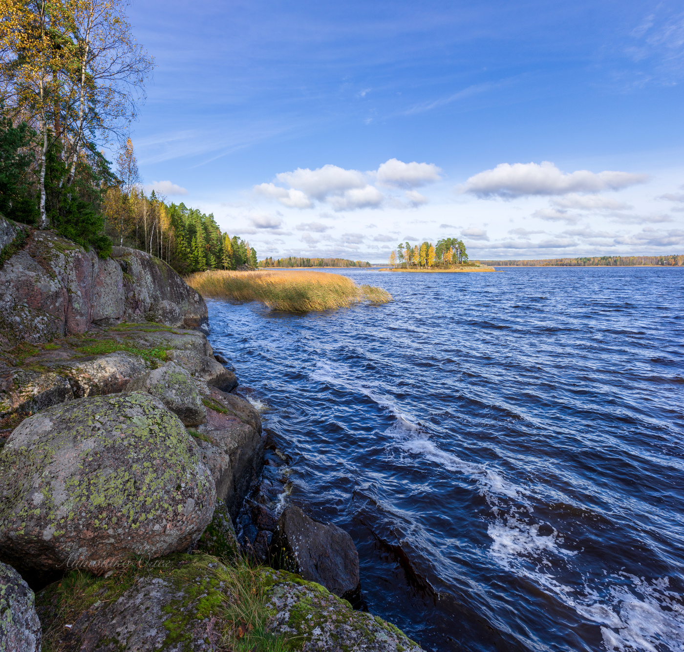 Парк "Монрепо".