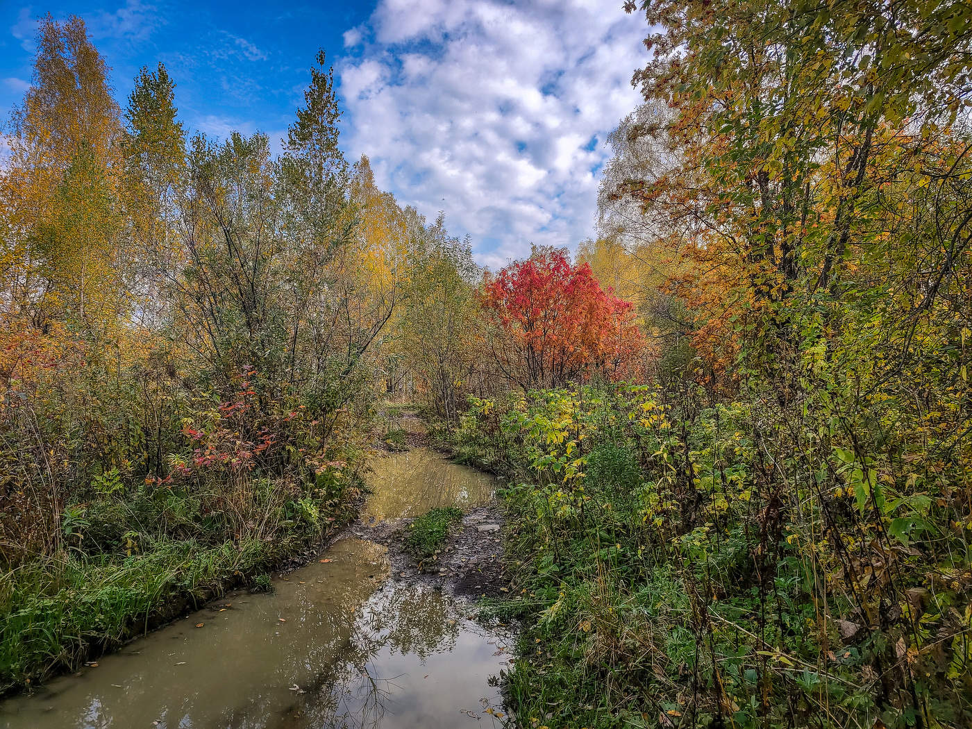 В лесах Тельбеса