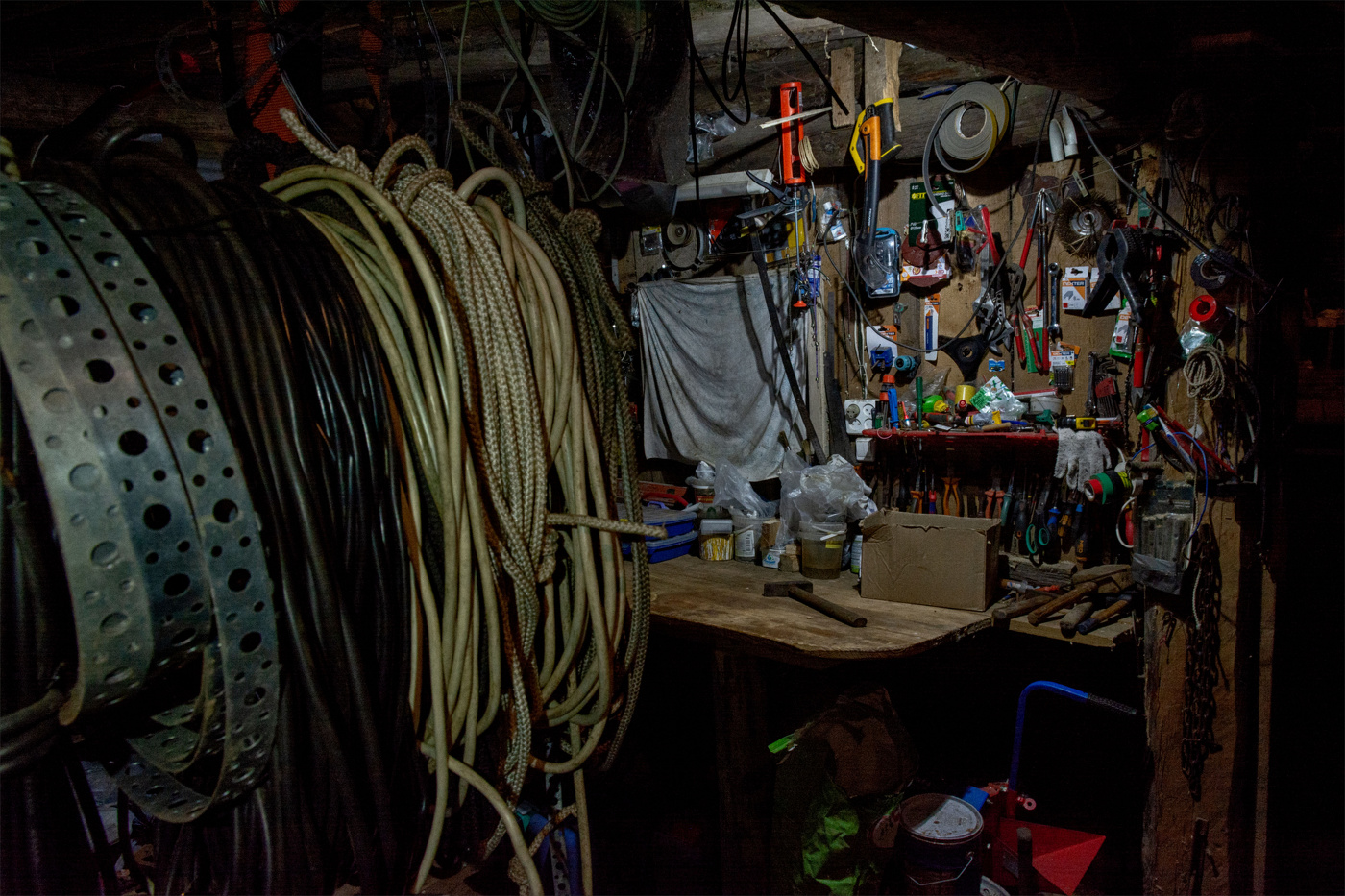 Жизнь вокруг