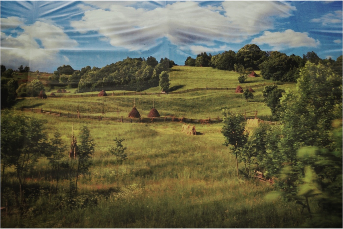 Тополя топчу ретиво