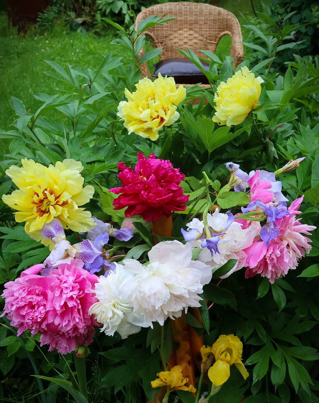 Хоровод после дождя