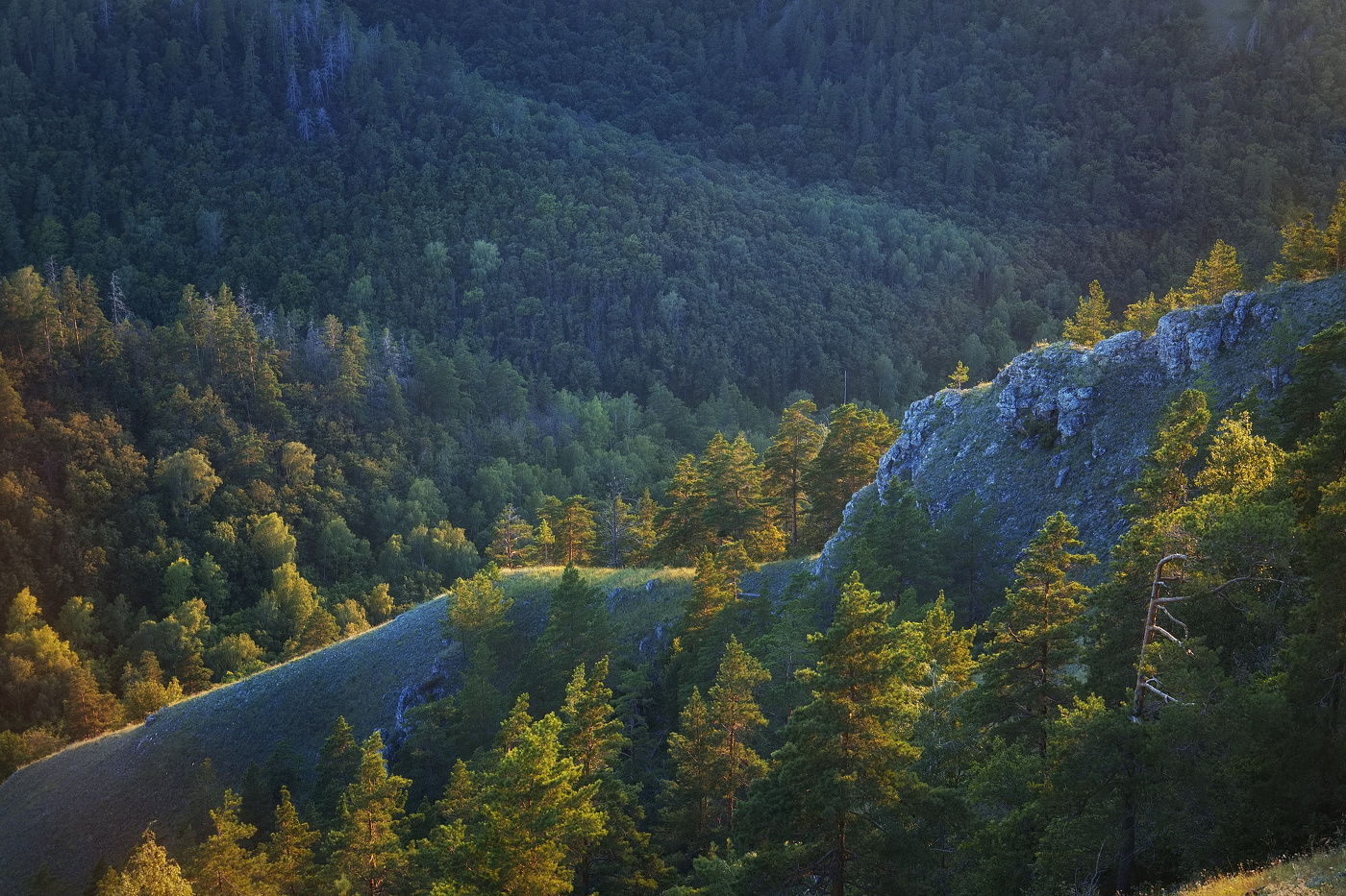 Жигулевский заповедник.
