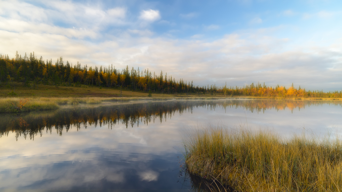 Фонограмма (Голос тайги)