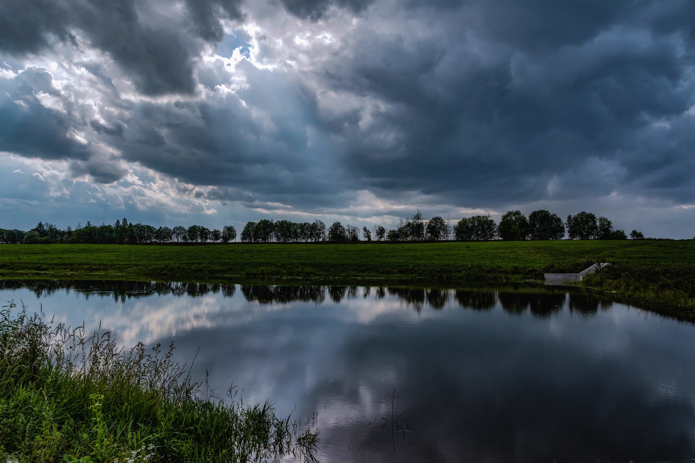 буйное лето