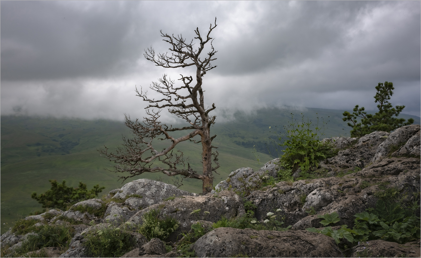 Выше облаков