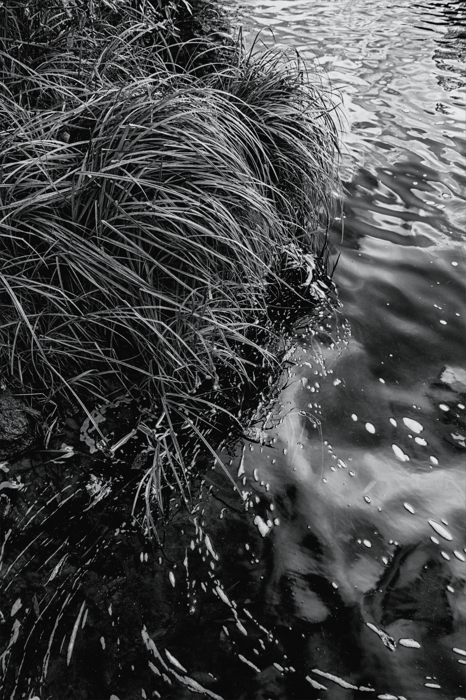 Жизнь вокруг