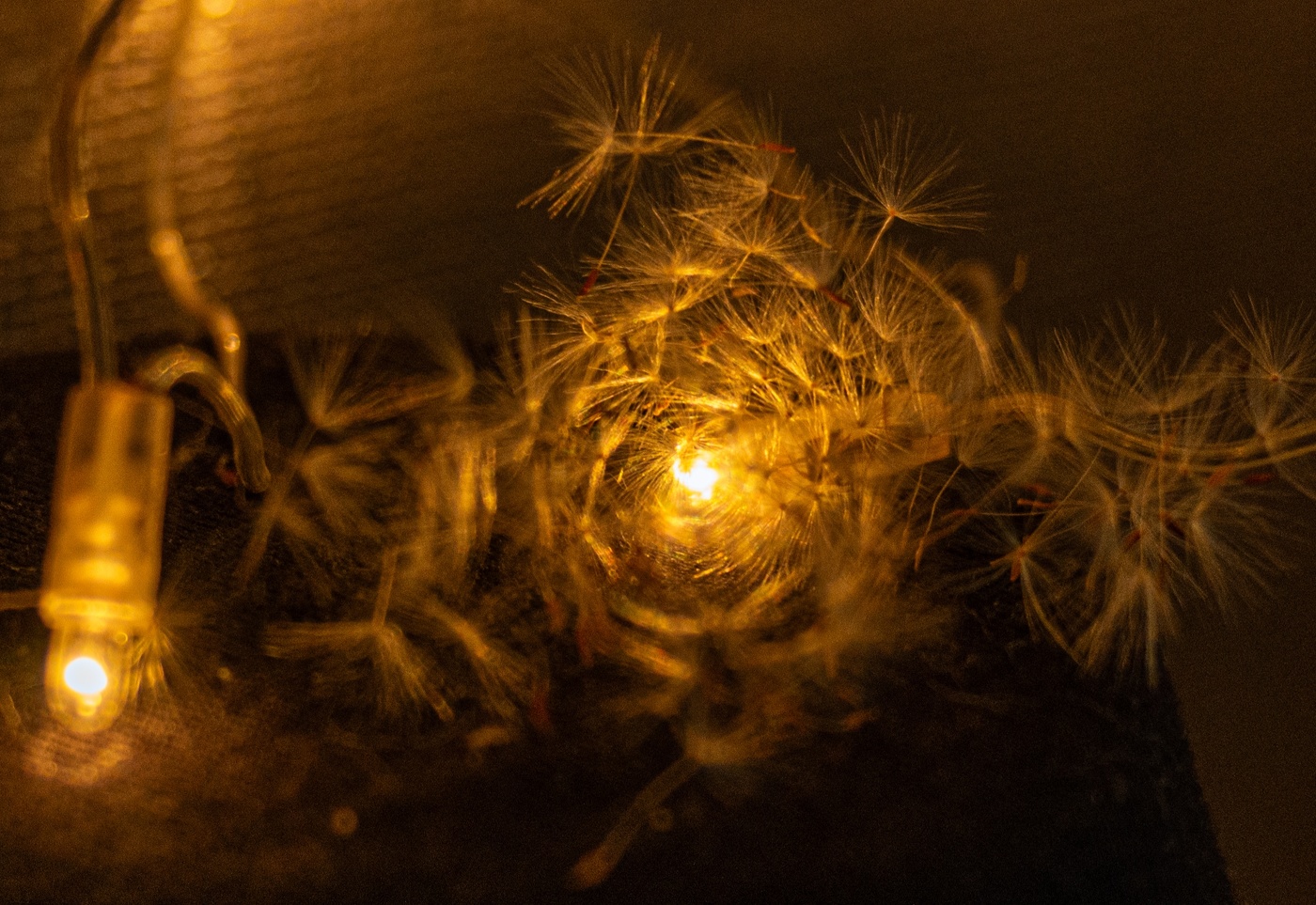 Гирлянда и остатки лета.