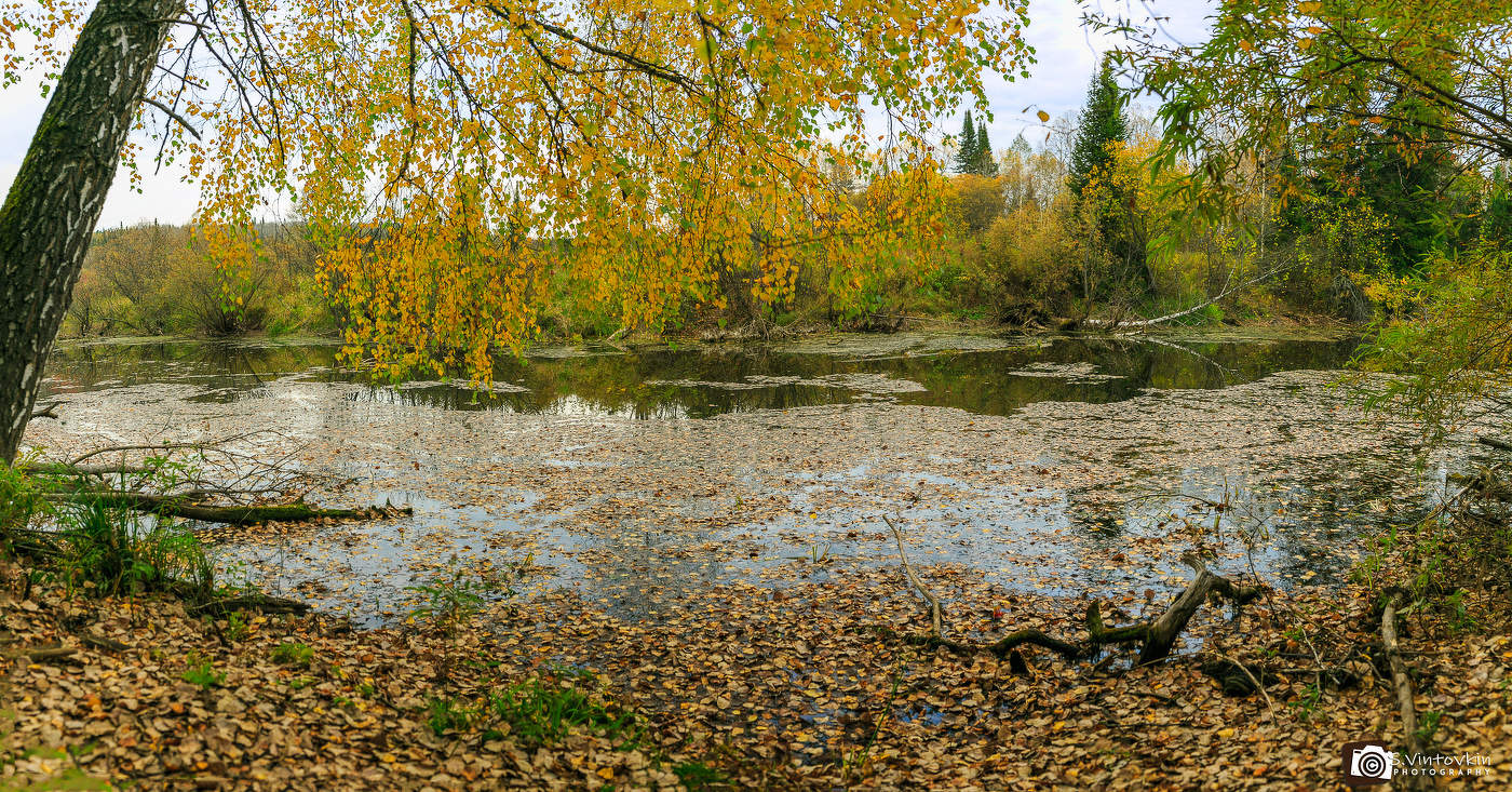 Золотая осень