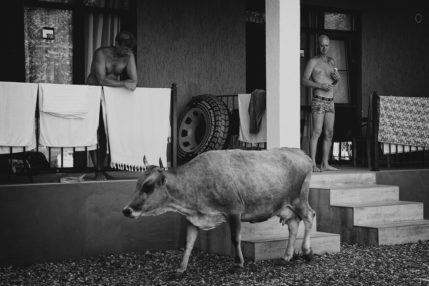 Кто со мной (из серии снимаю, как Акын)