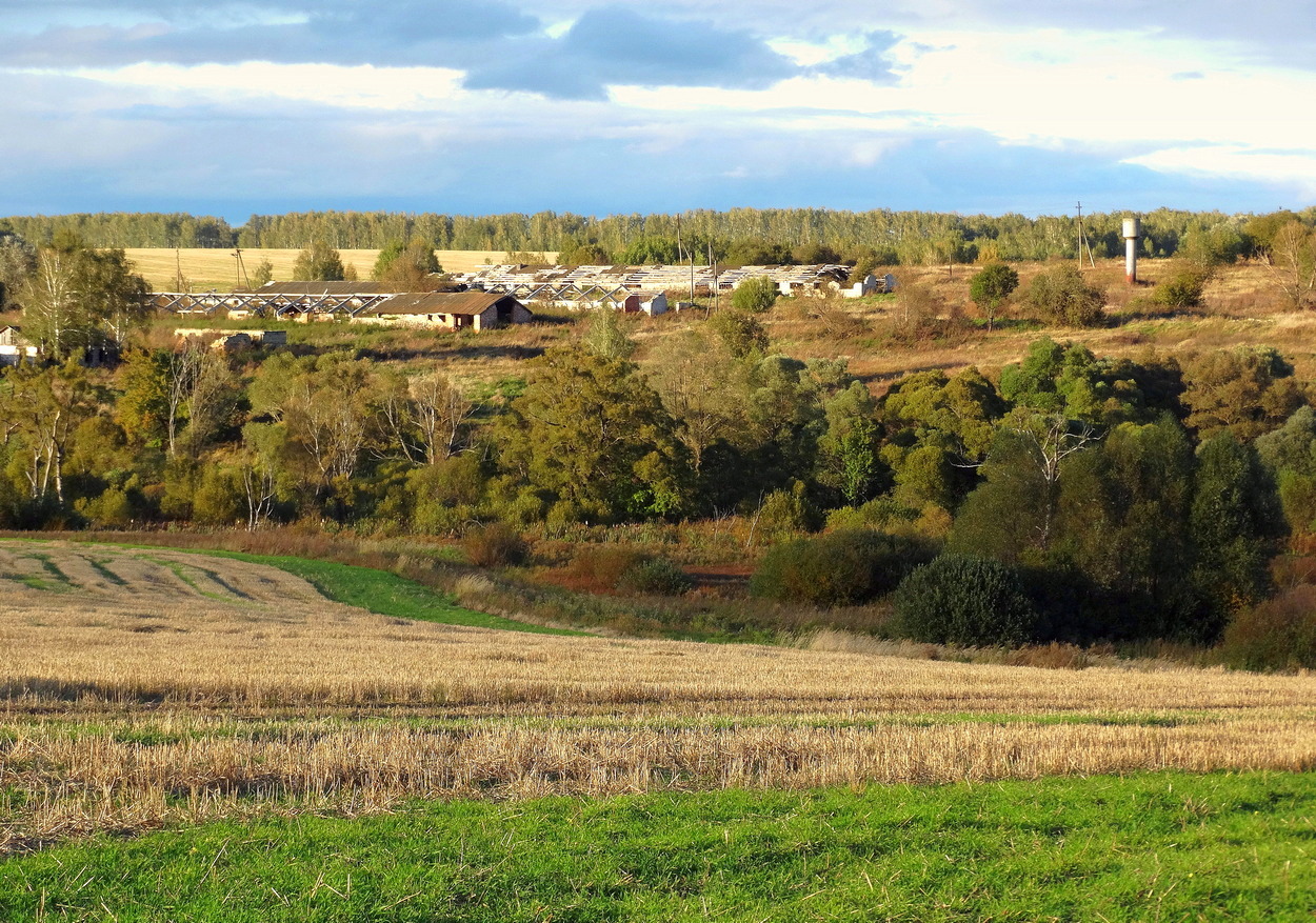 Нивы сжаты, пришла осенняя пора