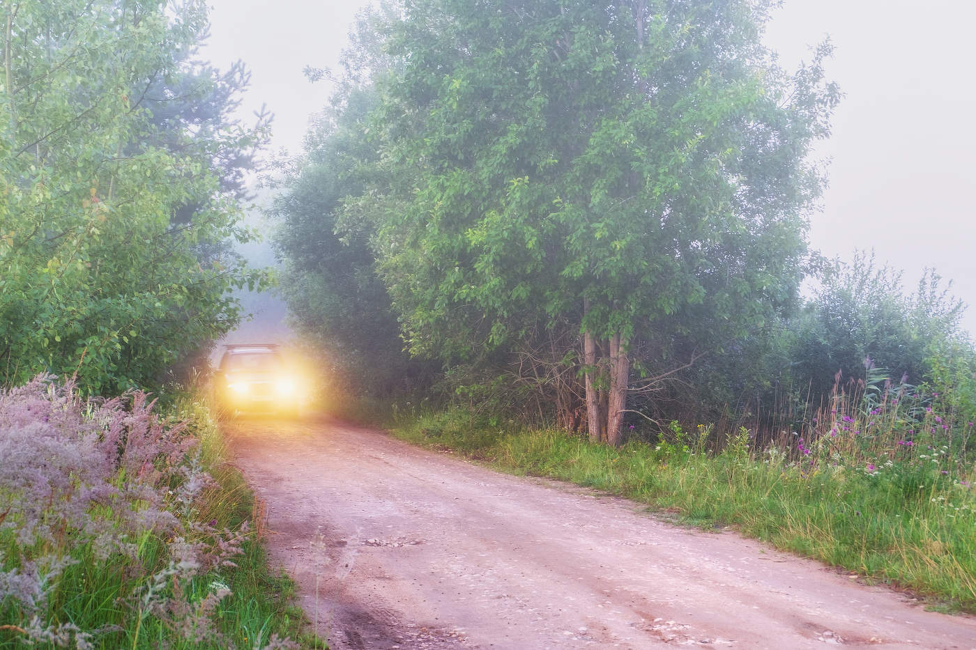 Деревенскими дорогами