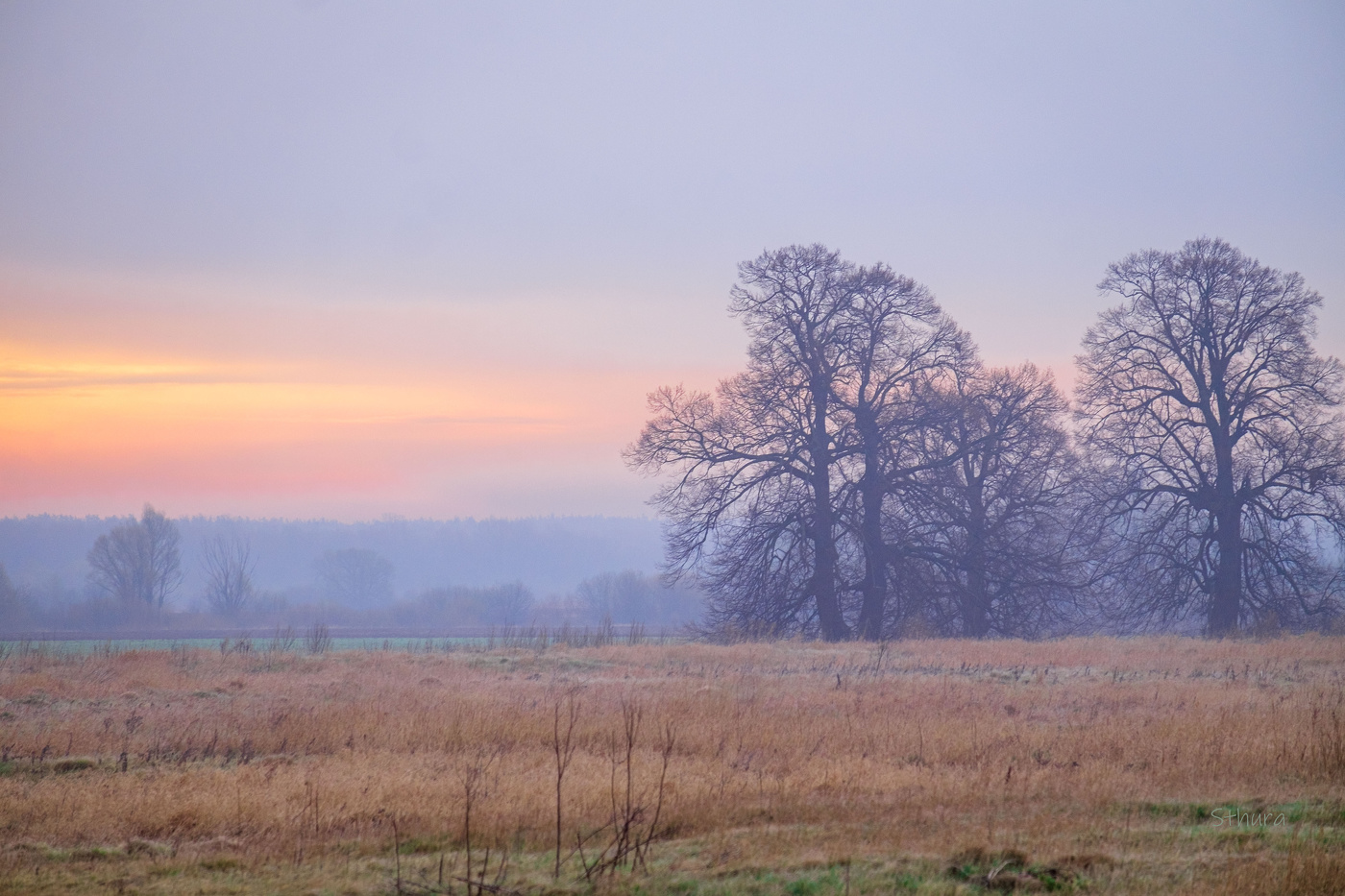В поле. Апрель.