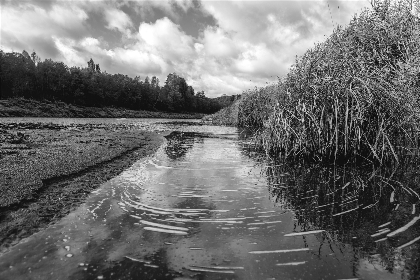 Жизнь вокруг