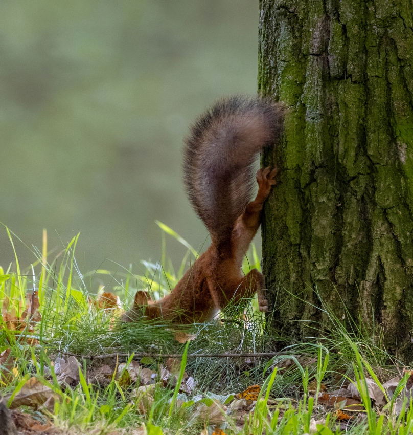 Разминочка )