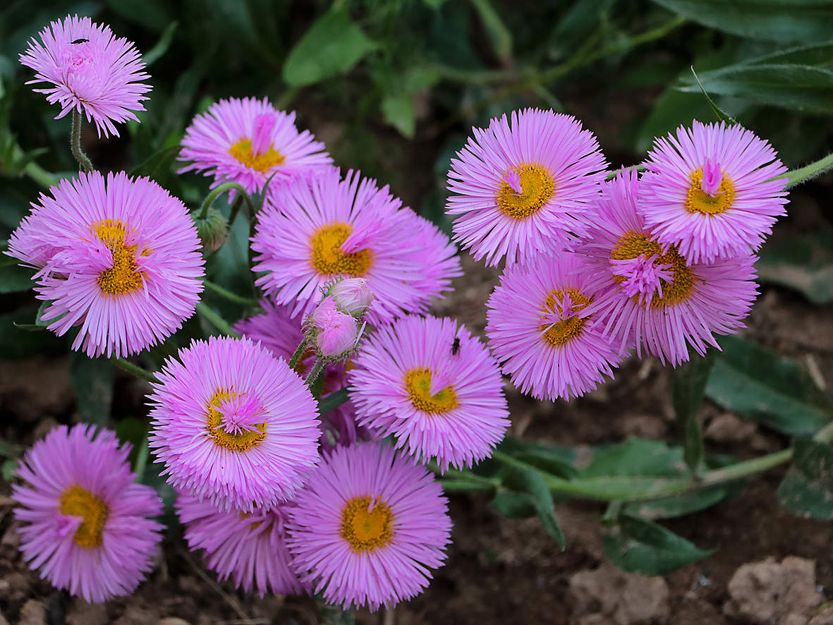 Было лето...