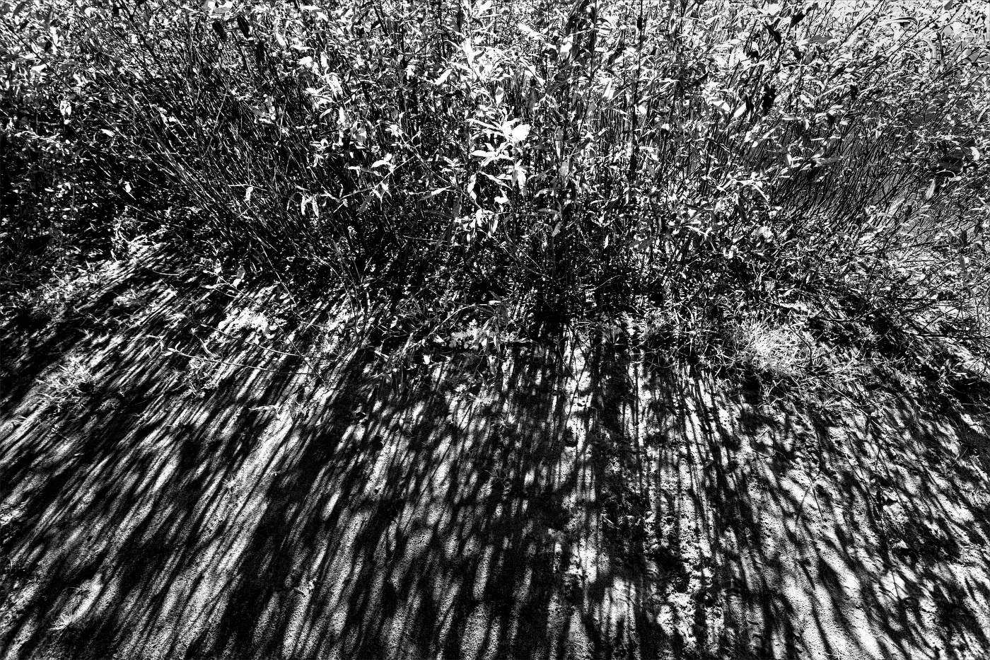 Жизнь вокруг