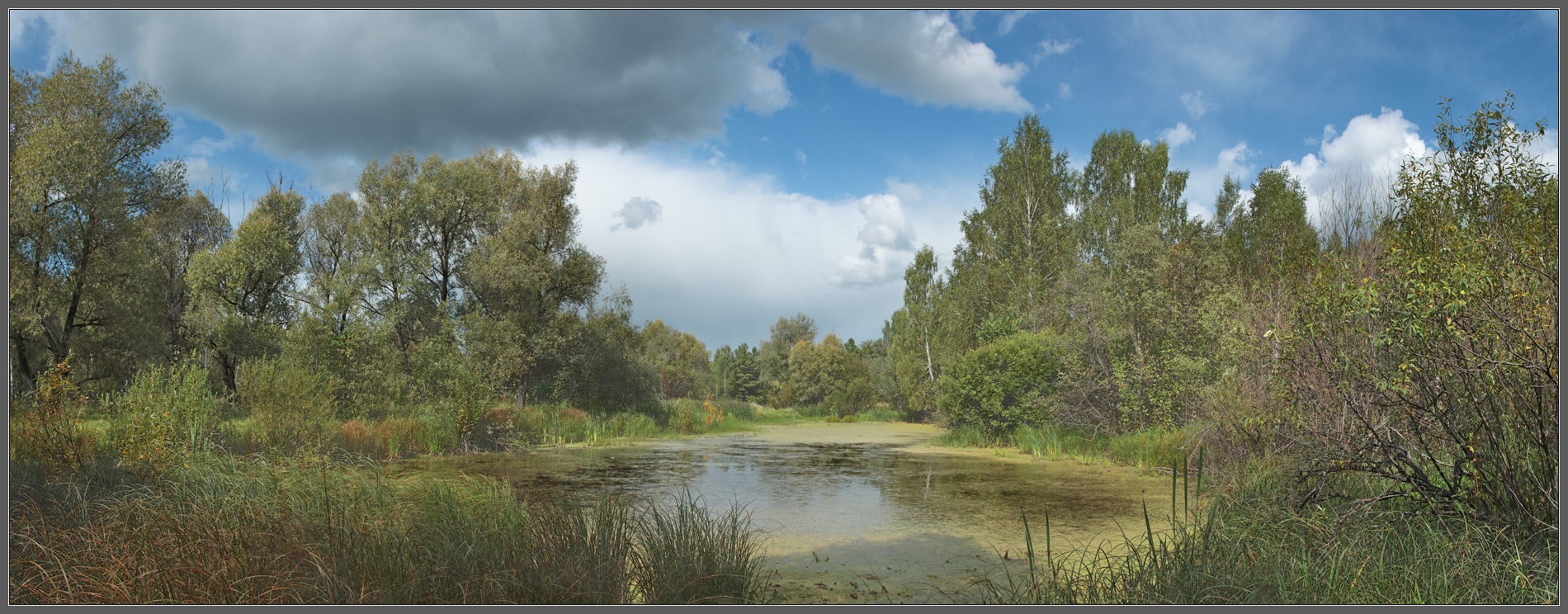Приближалась осень