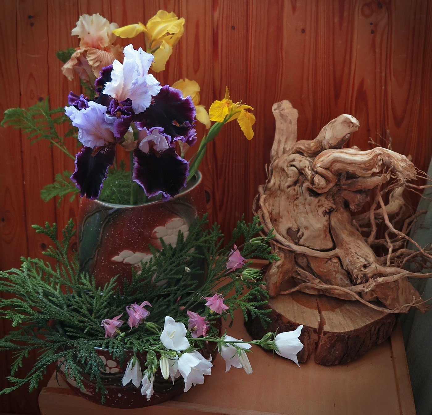 Красавицы и чудовища