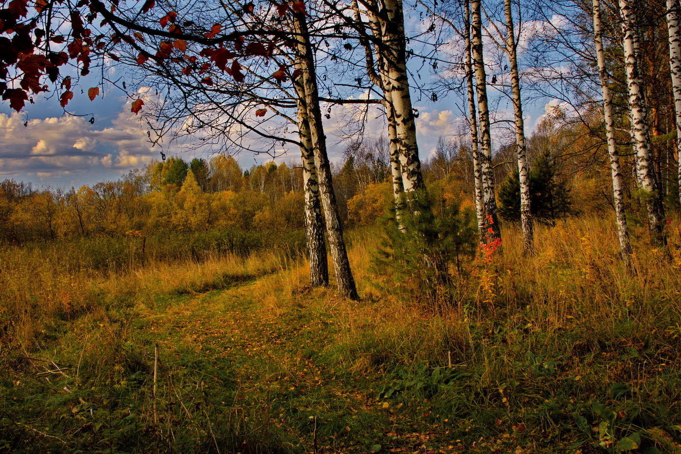 Тёплым днём.