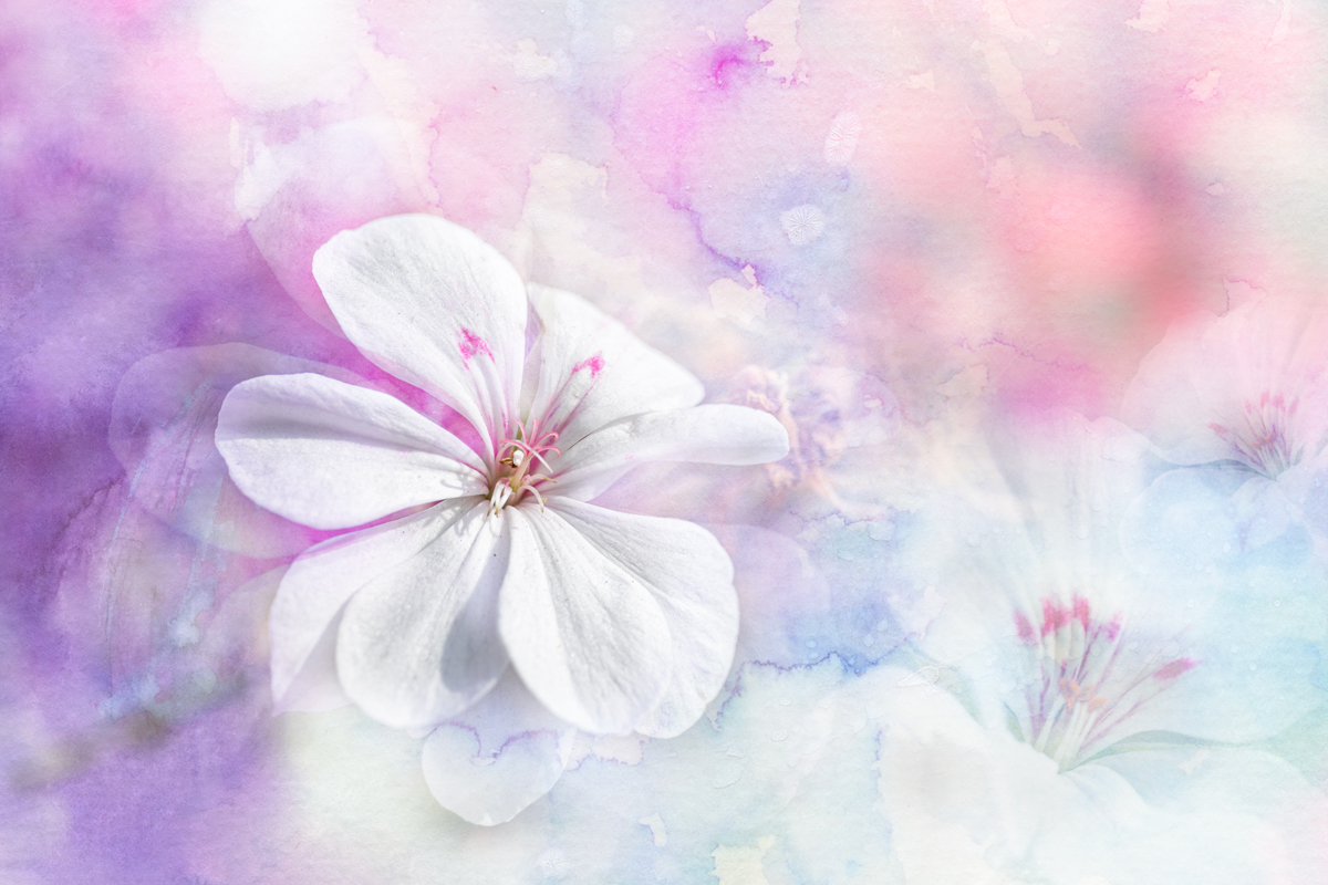 Нежность сентября...